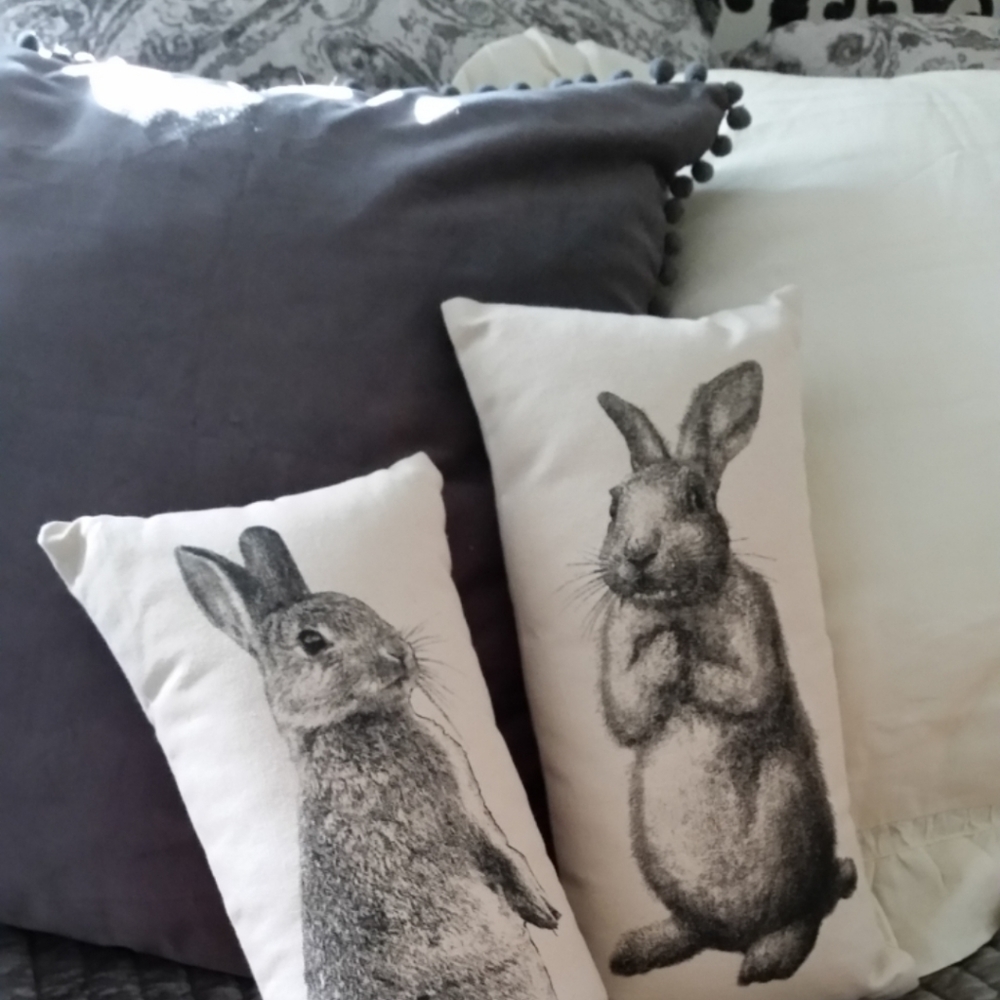 Bunny Decorative pillows